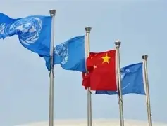 2024皮尔力来力杯比赛日程最新